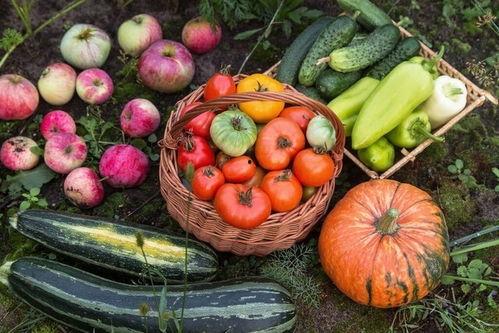 五一吃瓜网最新内容