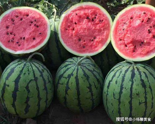 穿越到娱乐圈获得吃瓜系统,穿越者解锁明星幕后秘闻