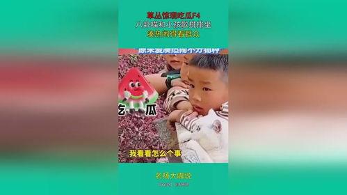 娱乐吃瓜群众歌曲大全,歌曲大全盘点