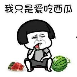 吃瓜娱乐圈动画在线观看,动画盛宴，娱乐圈风云尽收眼底