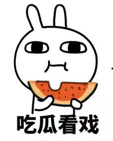 娱乐吃瓜酱酸,揭秘娱乐圈背后的酸辣故事