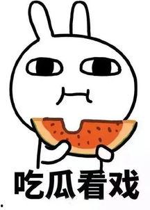 娱乐吃瓜小q,揭秘娱乐圈那些不为人知的幕后故事