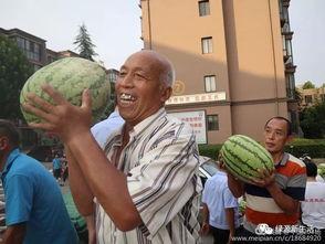 大型吃瓜现场图