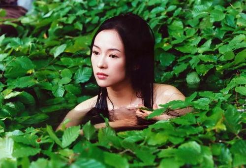 娱乐吃瓜君白莲花女星,娱乐吃瓜君揭秘其背后的真相